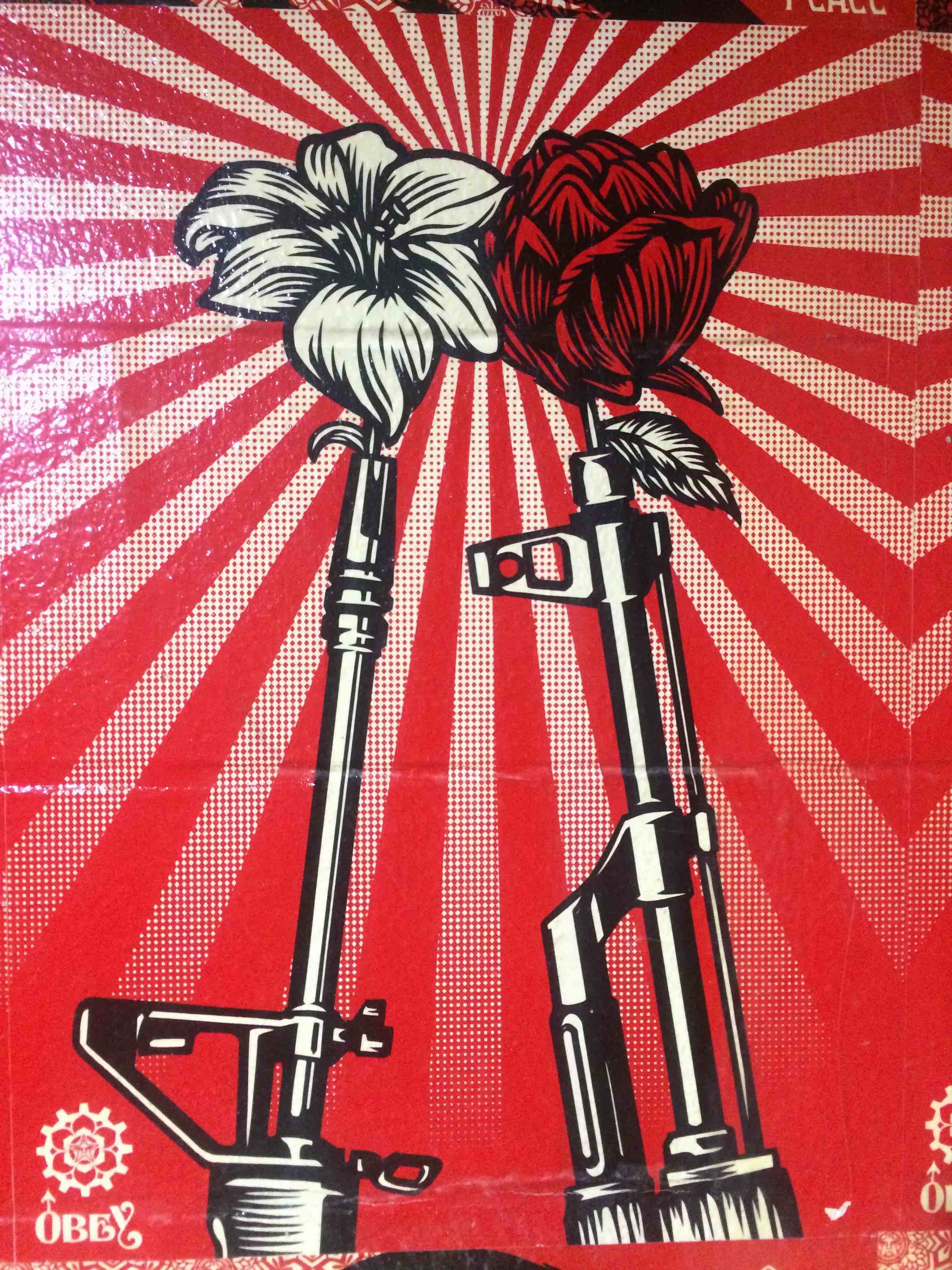 Device Content Image